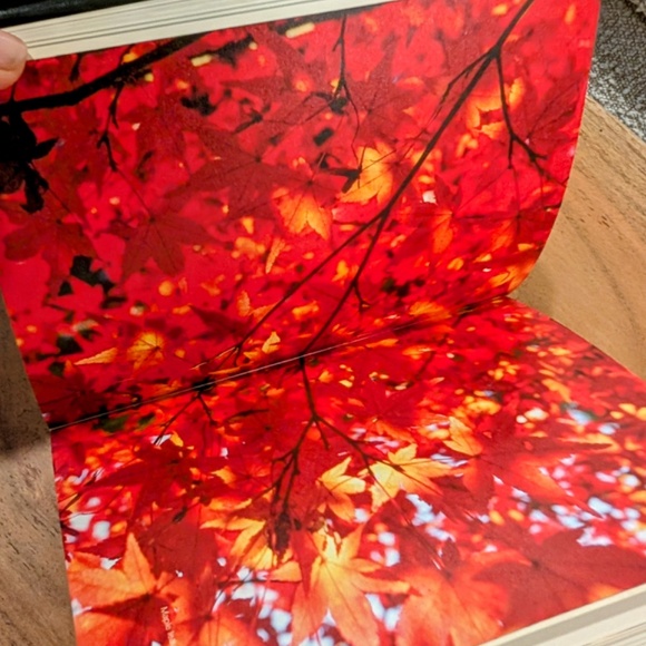 RARE Kyoteau - Bottled Memories, Della Chang & Various, Hardback 2009 - Picture 4 of 7